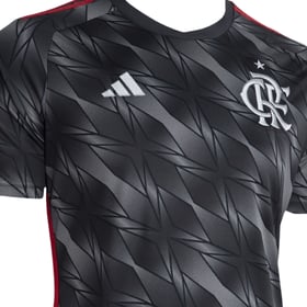 Herren Flamengo 2024 Dritttrikot