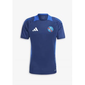 Kid's Strasbourg 2024/25 Third Authentic Training Shirt  -  Blue