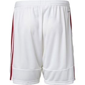 Herren Silkeborg IF 2024/25 Drittes Shorts