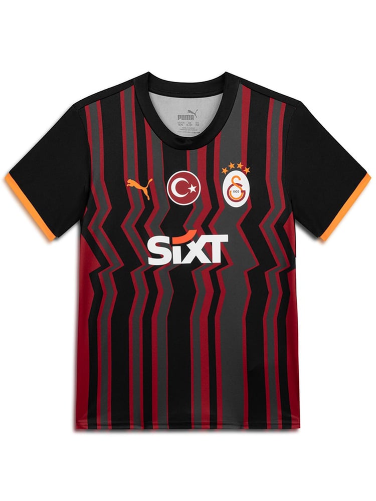 Herren Galatasaray 2024/25 Dritt Alternativtrikot