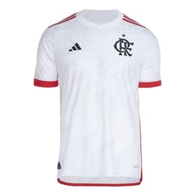 Herren Flamengo 2024 Auswärtstrikot Authentisch