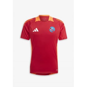 Herren Straßburg 2024/25 Drittes Authentisch Training Trikot – Rot