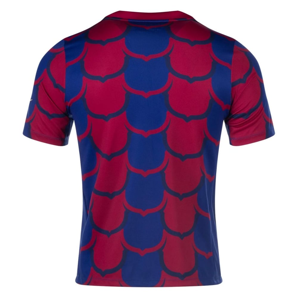 Barcelona Vor dem Spiel-Training Spezialedition Trikot 23/24