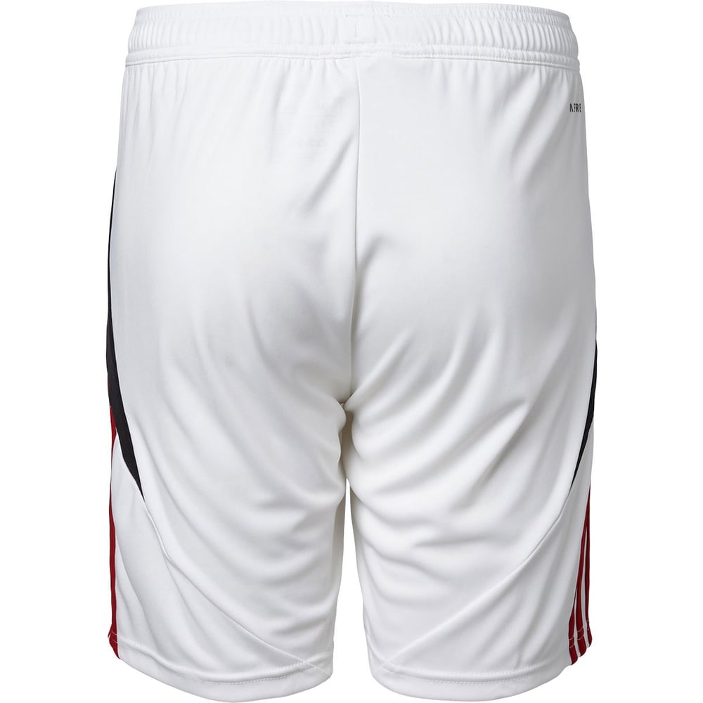 Herren Vejle BK 2024/25 Heimshorts