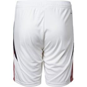 Herren Vejle BK 2024/25 Heimshorts