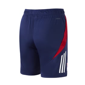 Herren OL 2024/25 Drittes Authentisch Training Shorts
