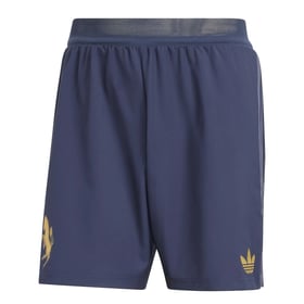 Herren Juventus 2024/25 Drittshorts Authentic