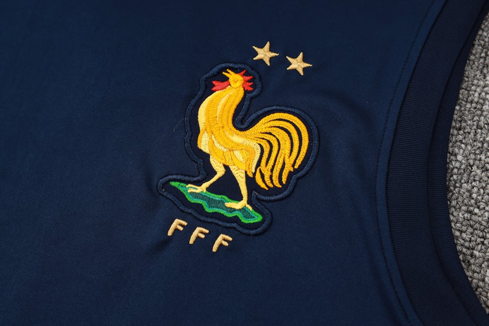 France Vest Track Suit 2024/25 MEN544