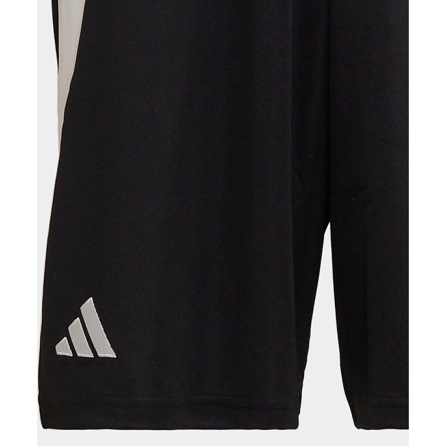 Women's Besiktas JK 2024/25 Away Shorts