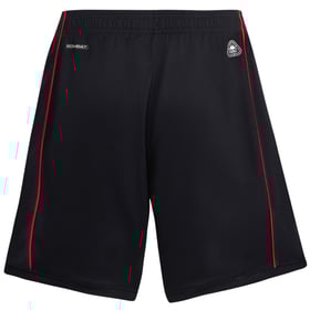Men's OGC Nice 2025/26 Special Shorts