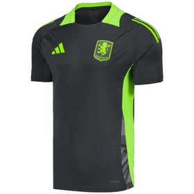 Herren Aston Villa 2024/25 Dritttrikot Training Authentic - Grau