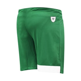 Men's Konyaspor 2024/25 Third Authentic Match Shorts - Green