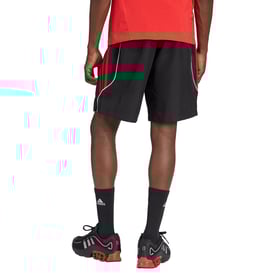 Herren Flamengo 2025 Dritte Urban Purist-Shorts