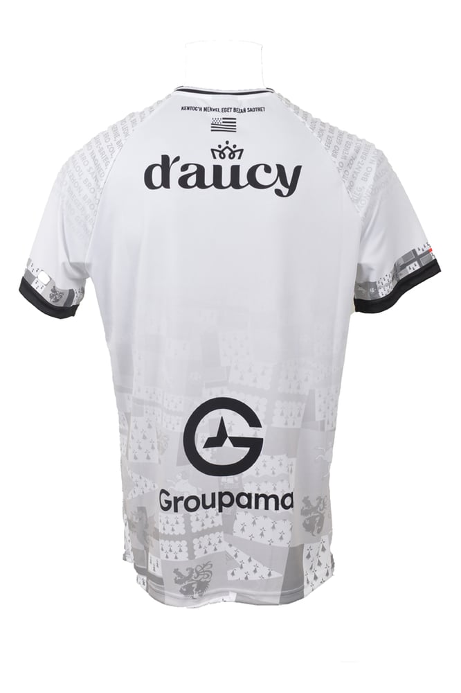Men's RC Vannes 2024/25 Away Shirt