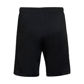 Herren Inter Drittshorts Training Authentic