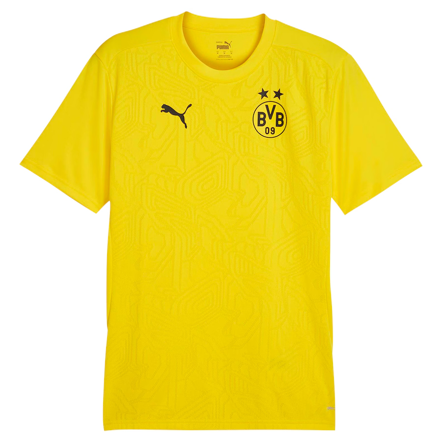 Herren Borussia Dortmund 2024/25 Dritte Authentisch Trainingsshirt - Gelb