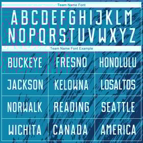 Soccer Jersey White-Black Blue Sublimation Panther Custom Uniform