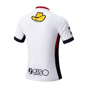 Herren Kashima Antlers 2025 Auswärtstrikot