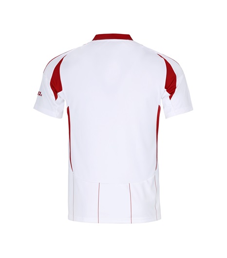 Maillot extérieur 2024/25 pour homme de l'Olympiacos FC