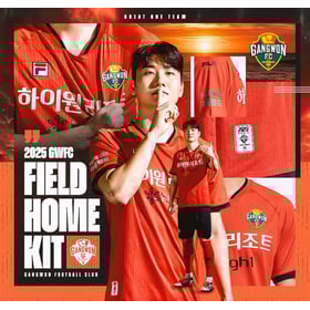 Herren Gangwon FC 2025 Heimtrikot