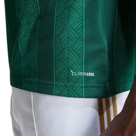Camiseta visitante Sudáfrica 2026 Copa del Mundo mujer