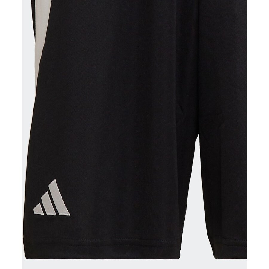 Men's Besiktas JK 2024/25 Away Shorts