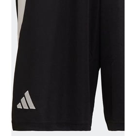Men's Besiktas JK 2024/25 Away Shorts