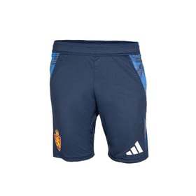 Damen Real Zaragoza 2024/25 Dritt Authentische Trainingsshorts