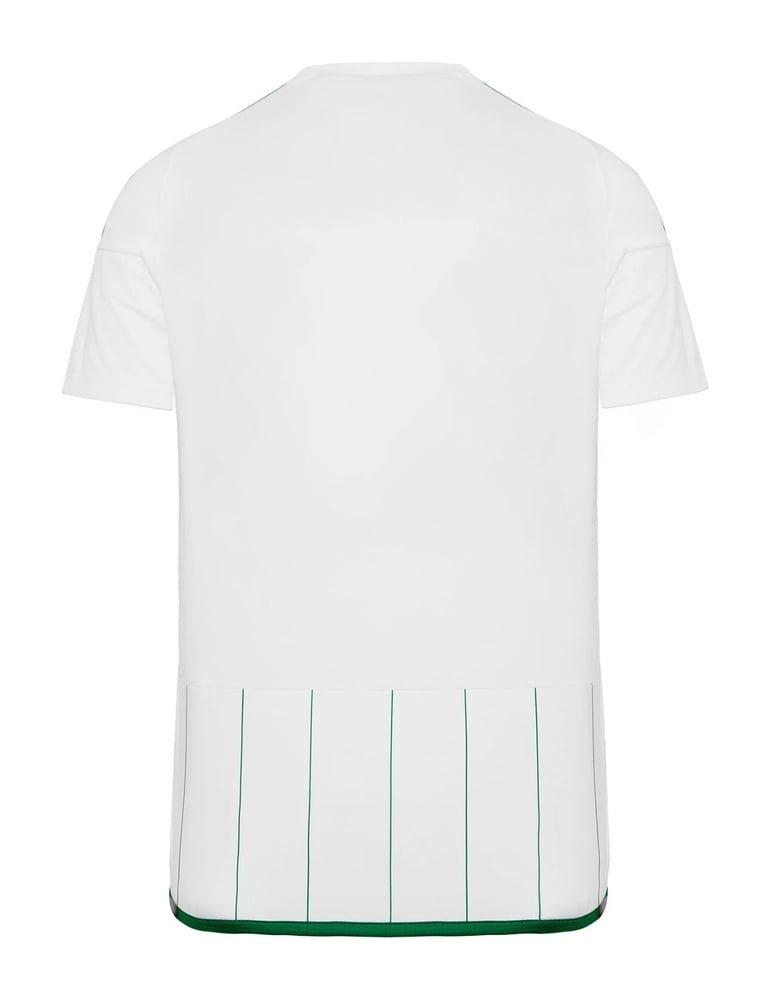 Chemise extérieur Panathinaikos FC hommes 2023/24