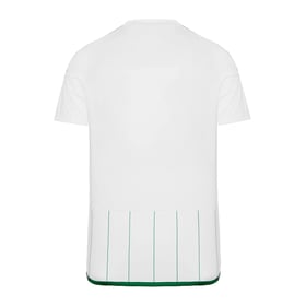 Chemise extérieur Panathinaikos FC hommes 2023/24
