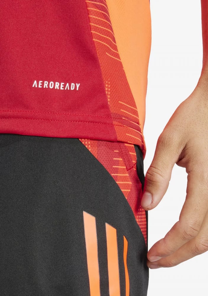 Herren Straßburg 2024/25 Drittes Authentisch Training Trikot – Rot