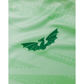 Kid's Scarlets 2026/27 Third Pre Match Shirt - Green