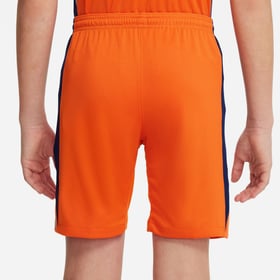 Niederlande Heimshorts EURO 2024