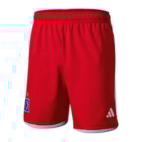 Kinder Hamburger SV 2023/24 Heim Shorts