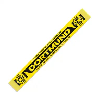 BVB Borussia Dortmund 
