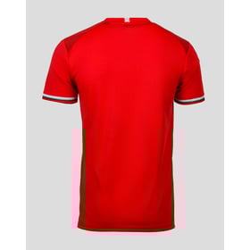 Herren FC Twente 2024/25 Heim Europa League Trikot