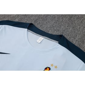 France Short Sleeve Track Suit 2024/25 MEN525