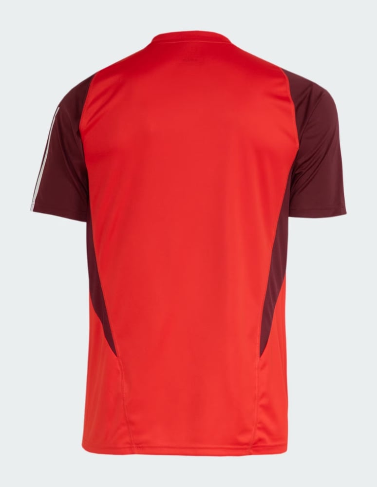 Herren Internacional 2024 Dritt Authentisches Trainingsshirt - Rot