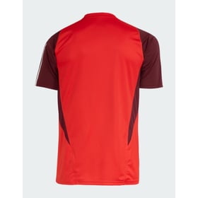 Herren Internacional 2024 Dritt Authentisches Trainingsshirt - Rot