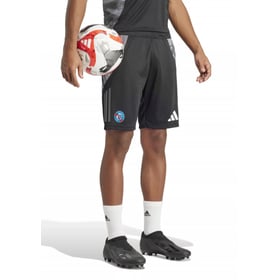 Herren Straßburg 2024/25 Drittes Authentisch Training Shorts – Grau