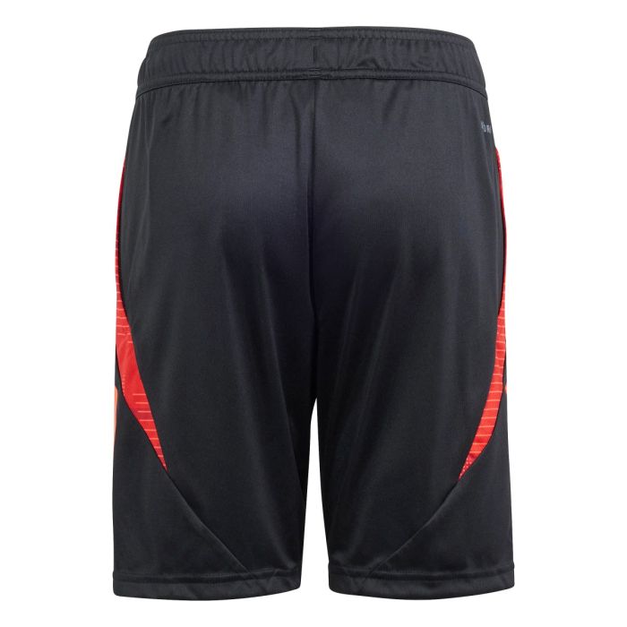Damen Standard Liege 2024/25 Dritte Authentische Trainingsshorts