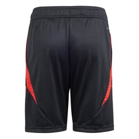Damen Standard Liege 2024/25 Dritte Authentische Trainingsshorts