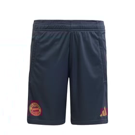 Kinder Bayern München 2025/26 Drittes Authentic Teamline Trainingsshorts