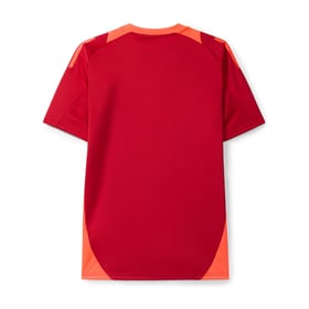 Kinder SL Benfica 2024/25 Drittes Authentisches Trainings-Trikot - Rot