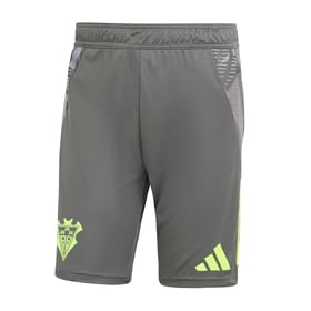 Men's Albacete BP 2024/25 Third Authentic Training Shorts