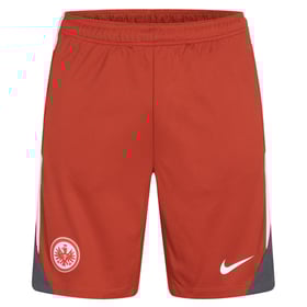 Herren Eintracht Frankfurt 2024 Dritt Authentische Trainingsshorts Europa
