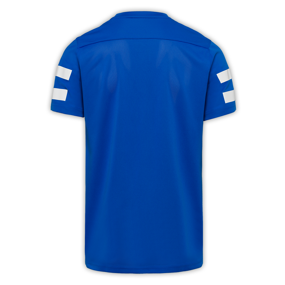 Kid's Hertha BSC 2024/25 Special Shirt