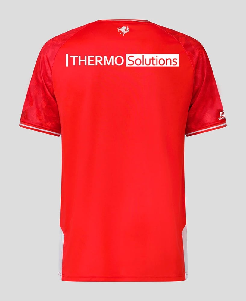 Herren FC Twente 2023/24 Heimtrikot