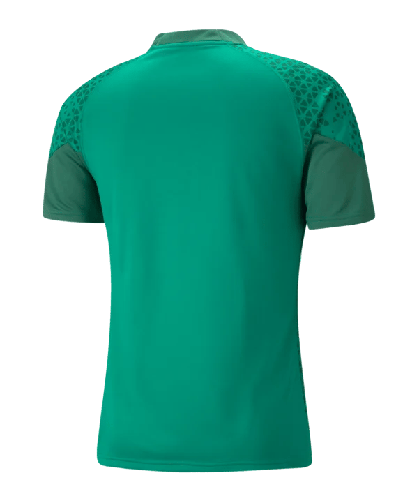 Herren FC St. Gallen 1879 2024/25 Drittes Authentisches Team Cup Trainings-Shirt