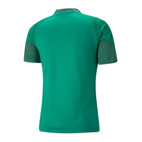 Herren FC St. Gallen 1879 2024/25 Drittes Authentisches Team Cup Trainings-Shirt
